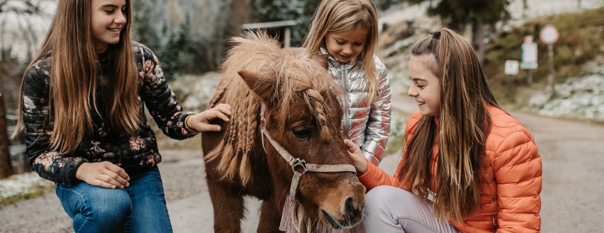 Dwarf pony Nelly