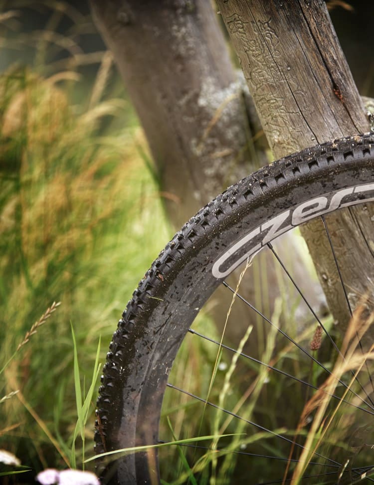 Biken und E-Biken im Sommerurlaub in der Salzburger Sportwelt