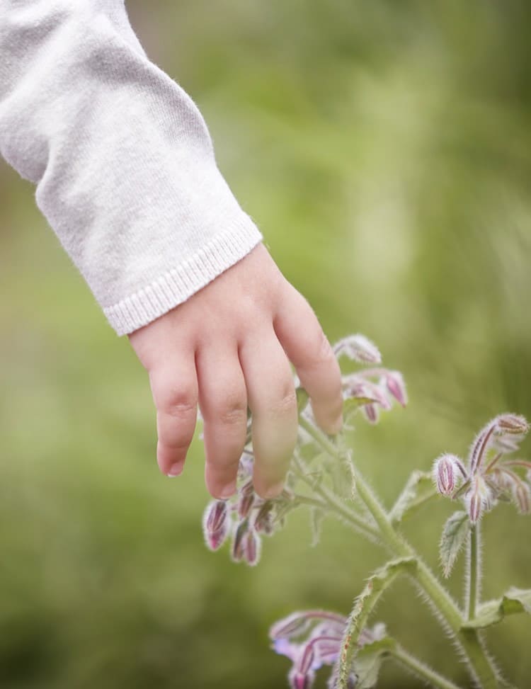 Sommerurlaub mit Kindern